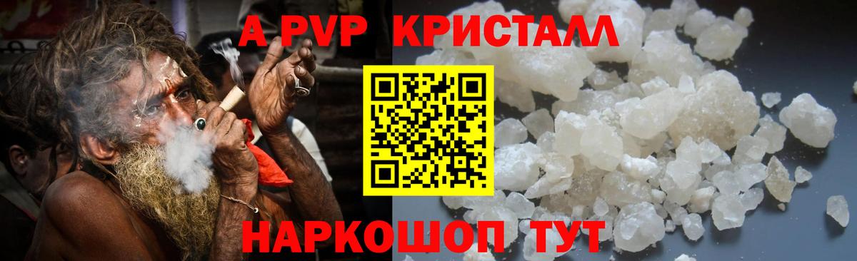 Альфа ПВП СК Спасск-Дальний