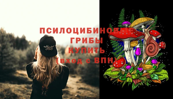 mdpv Армянск