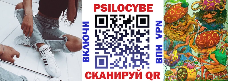 Псилоцибиновые грибы Psilocybe  Спасск-Дальний 